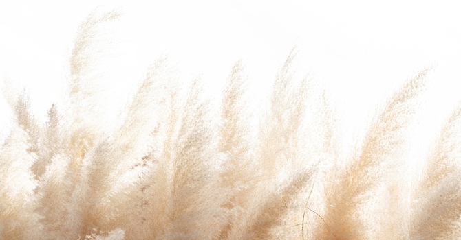 Accelerated Resolution Therapy (ART)